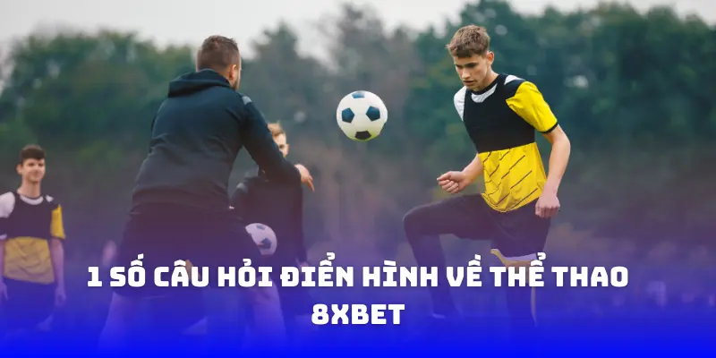 1 số câu hỏi điển hình về thể thao 8xbet