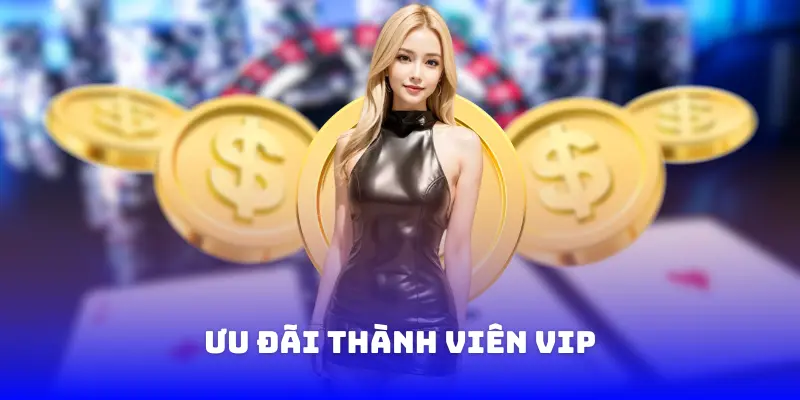 Ưu đãi thành viên VIP